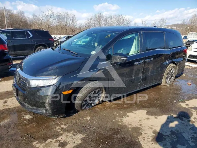 2023 Honda ODYSSEY photo