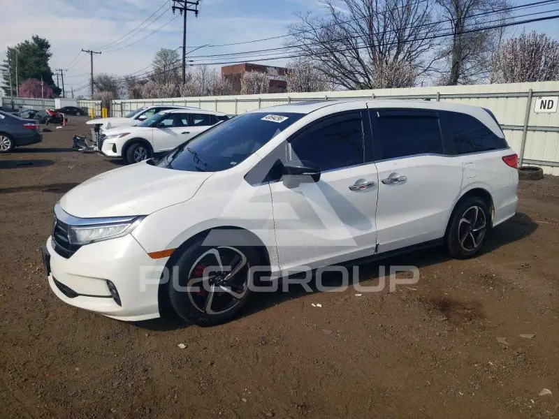 2023 Honda ODYSSEY photo