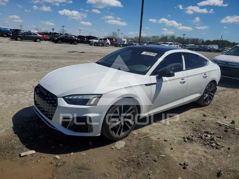 2023 Audi S5 фото