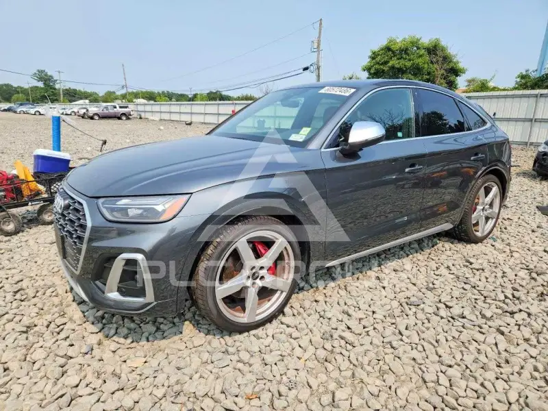 2023 Audi SQ5 фото