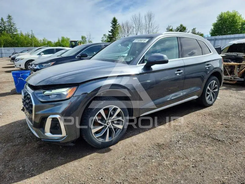 2023 Audi Q5 фото