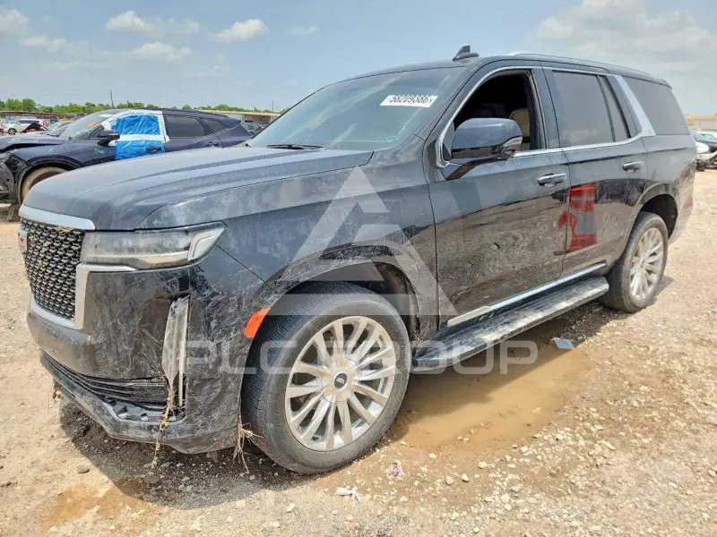 2023 Cadillac ESCALADE photo