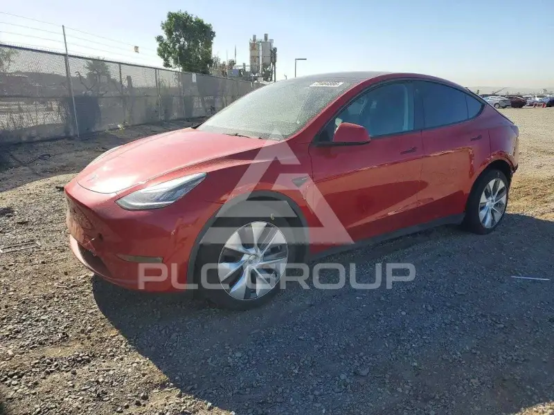 2023 Tesla Model Y фото