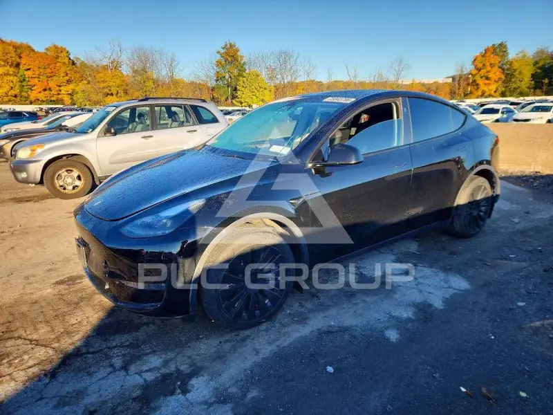 2023 Tesla Model Y photo