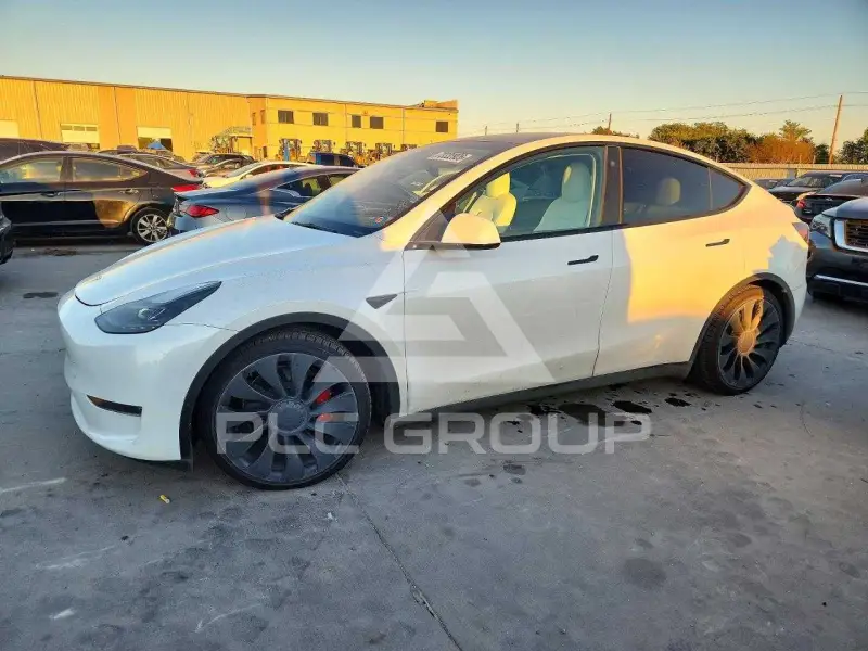2023 Tesla Model Y photo