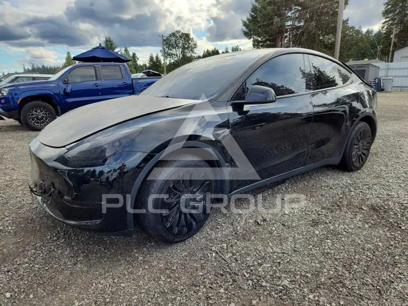 2023 Tesla Model Y фото