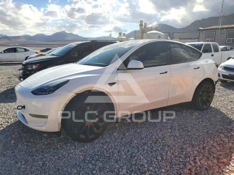 2023 Tesla Model Y фото