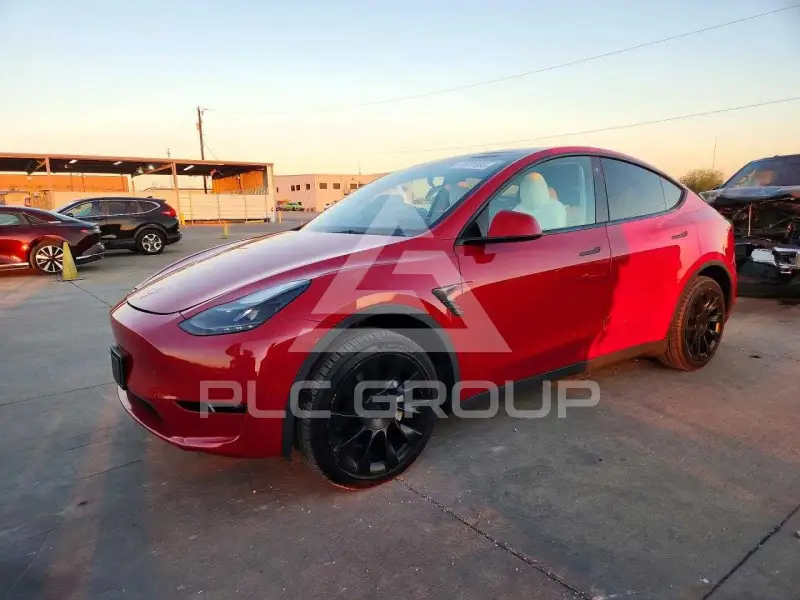 2023 Tesla Model Y photo