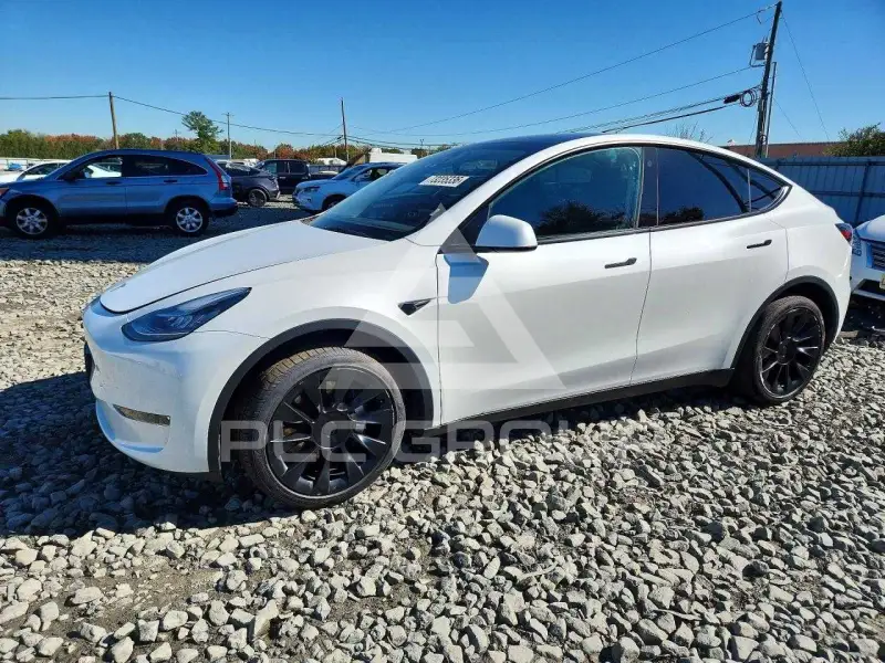 2023 Tesla Model Y photo