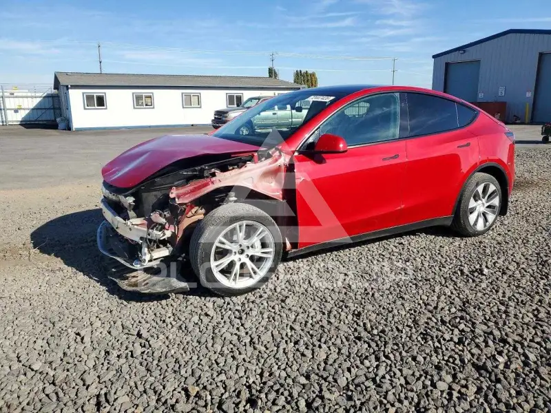 2023 Tesla Model Y фото