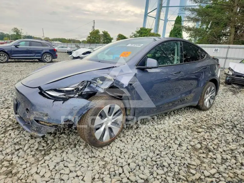 2023 Tesla Model Y фото