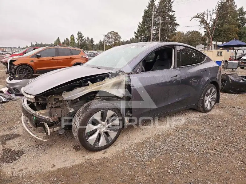 2023 Tesla Model Y фото