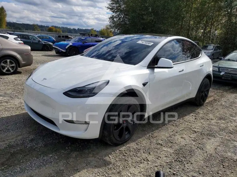 2023 Tesla Model Y фото