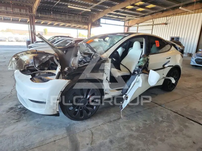 2023 Tesla Model Y photo