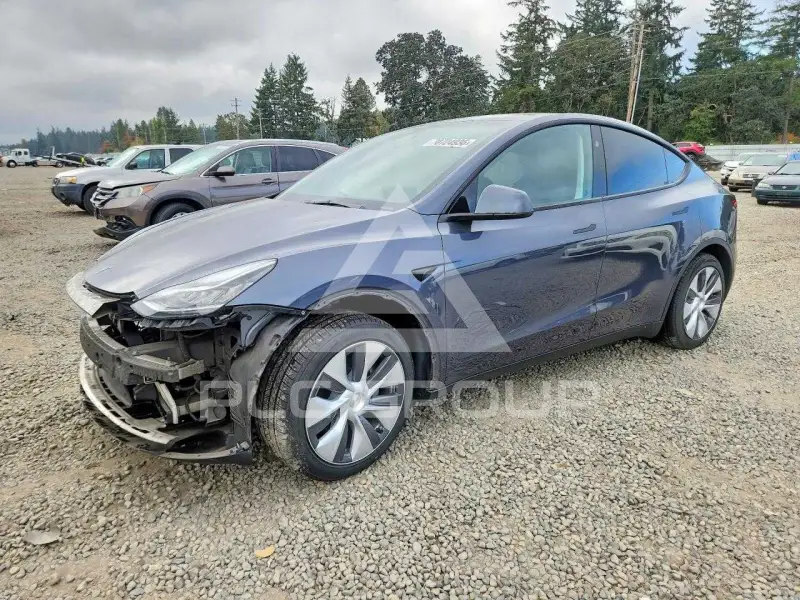 2023 Tesla Model Y фото