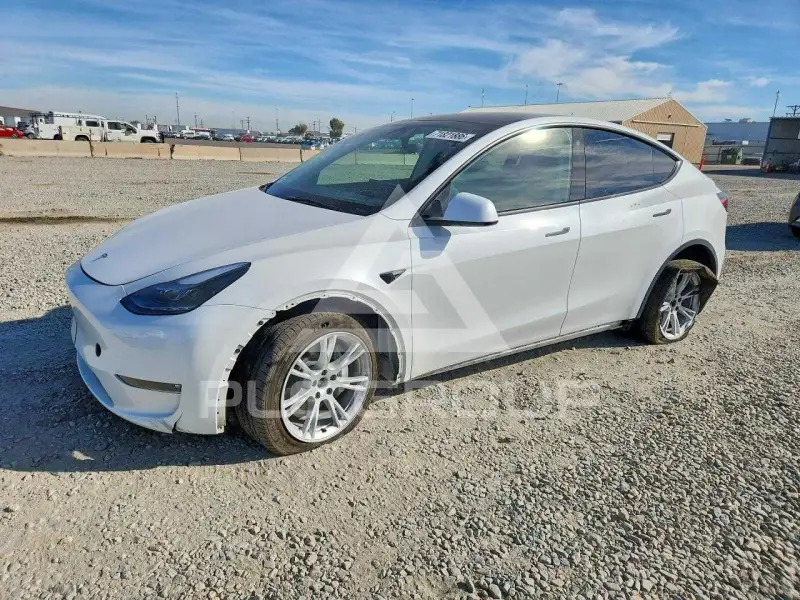 2023 Tesla Model Y фото