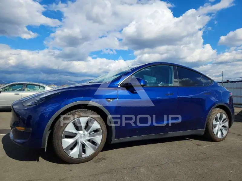 2023 Tesla Model Y фото