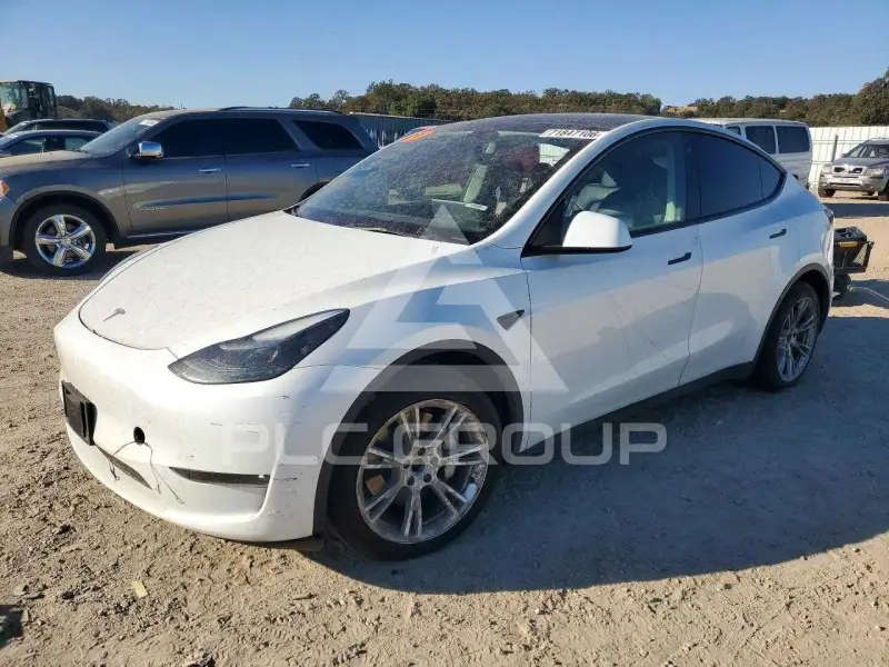 2023 Tesla Model Y photo