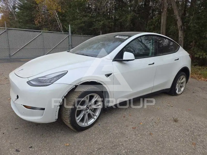 2023 Tesla Model Y фото
