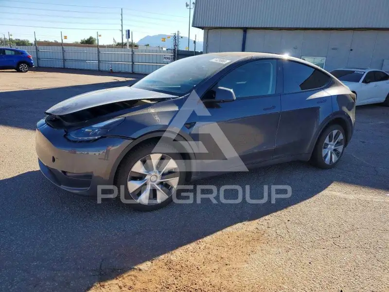 2023 Tesla Model Y фото