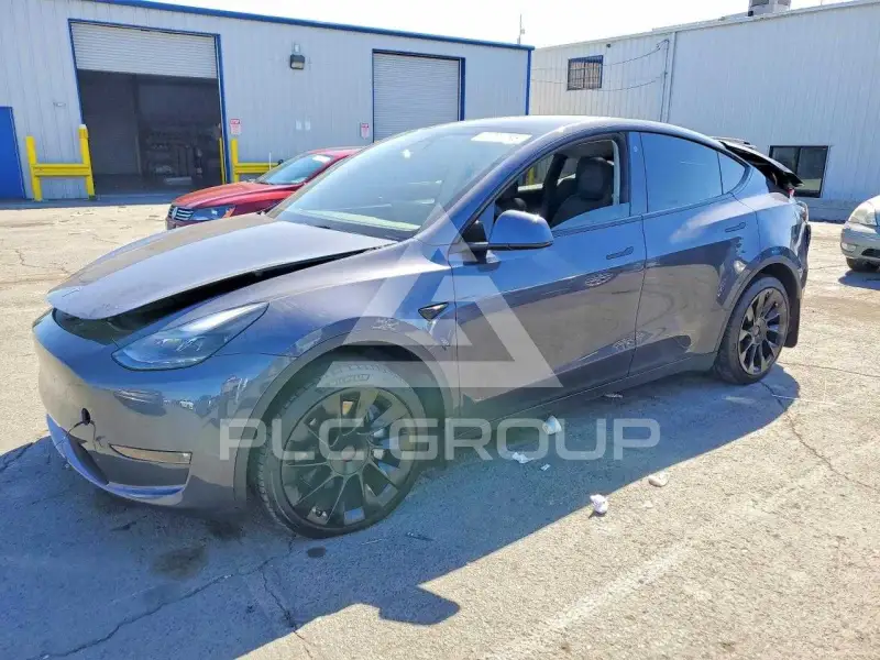 2023 Tesla Model Y photo