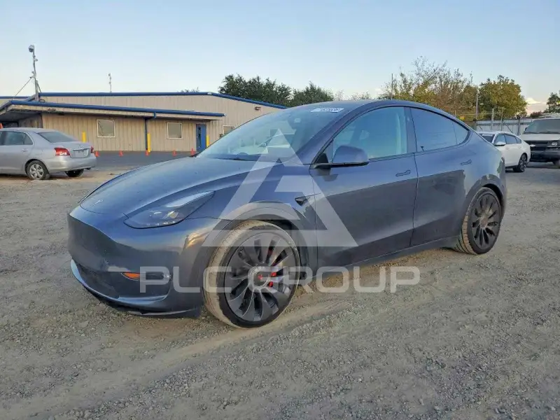 2023 Tesla Model Y фото