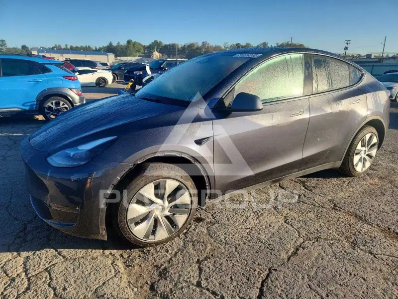 2023 Tesla Model Y фото
