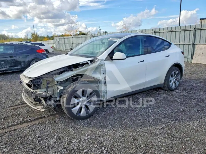2023 Tesla Model Y фото