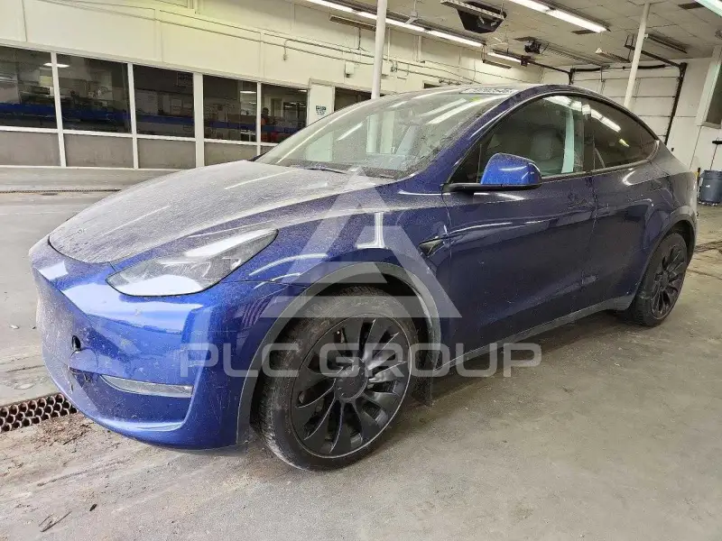 2023 Tesla Model Y фото
