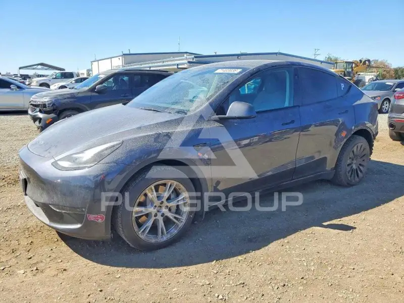 2023 Tesla Model Y photo