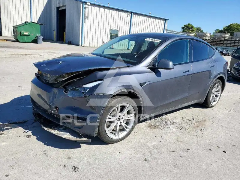 2023 Tesla Model Y фото