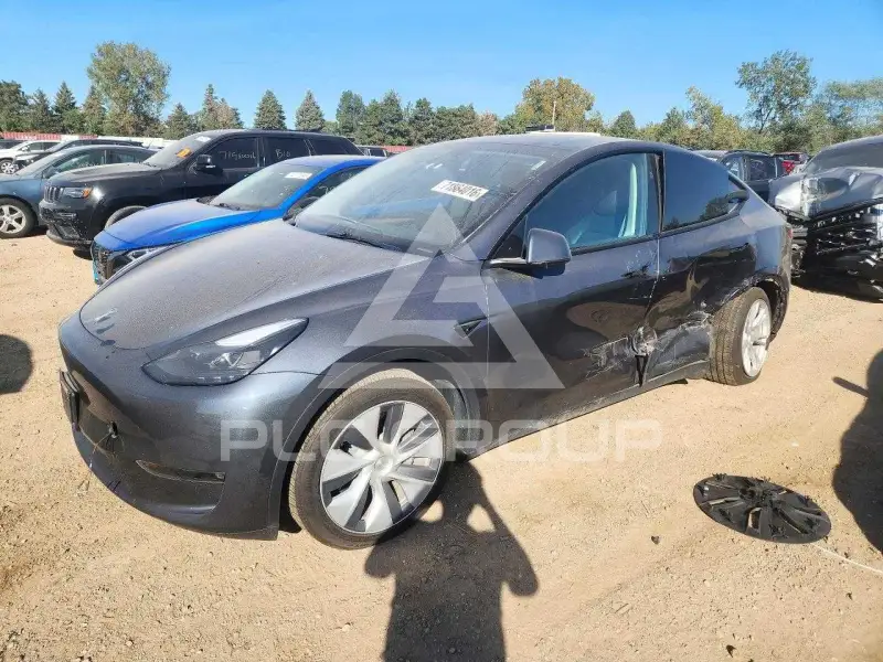 2023 Tesla Model Y фото
