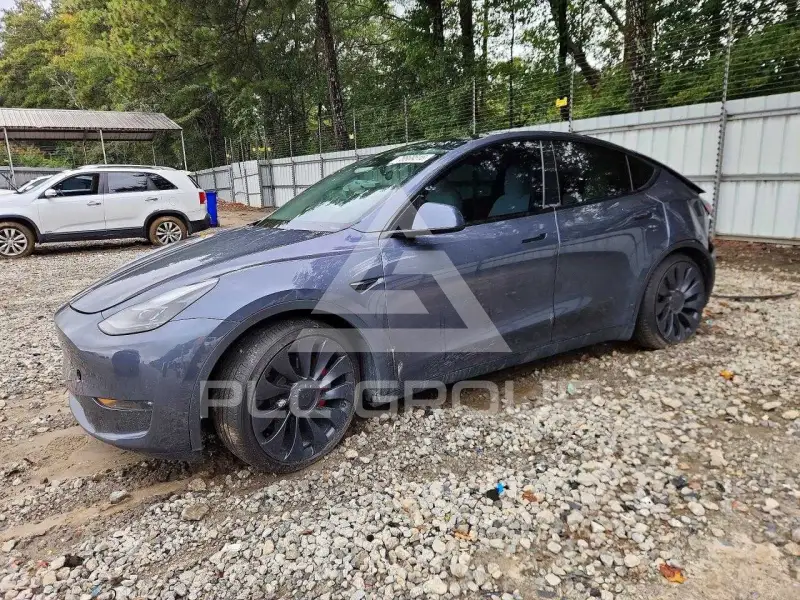 2023 Tesla Model Y фото