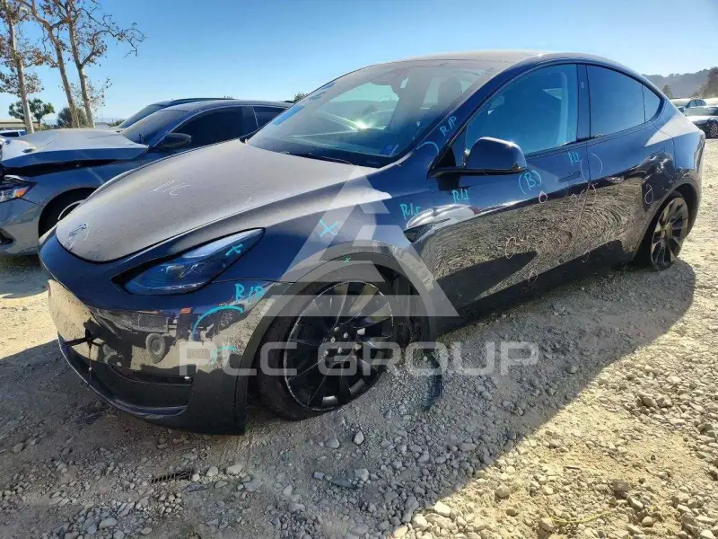 2023 Tesla Model Y фото