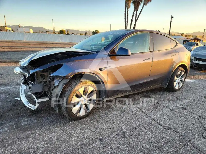 2023 Tesla Model Y photo