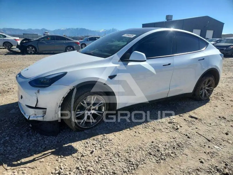 2023 Tesla Model Y photo