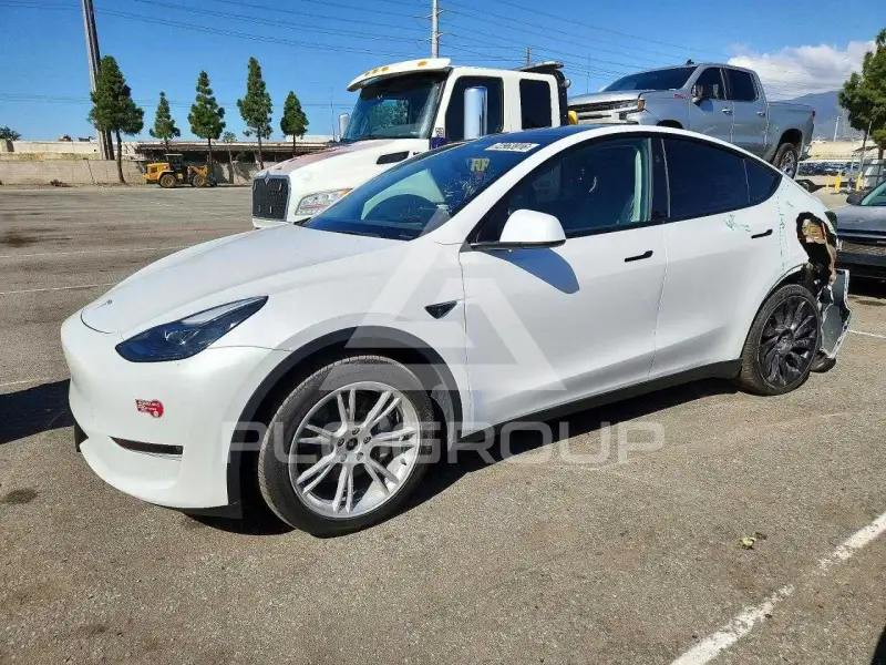 2023 Tesla Model Y фото