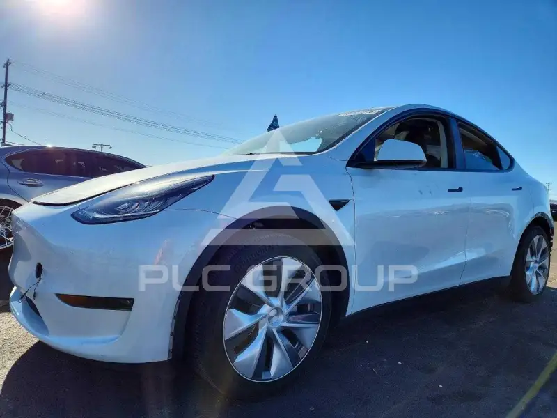 2023 Tesla Model Y photo