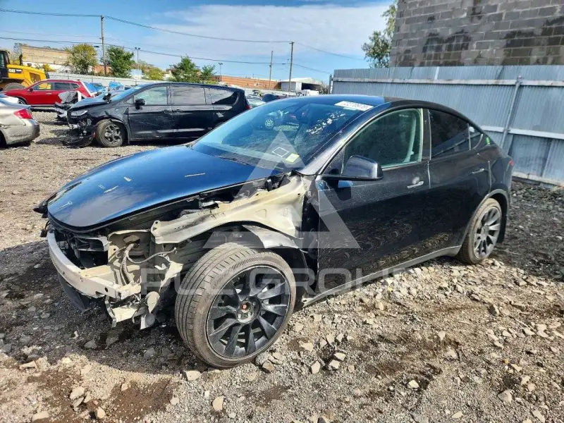 2023 Tesla Model Y photo