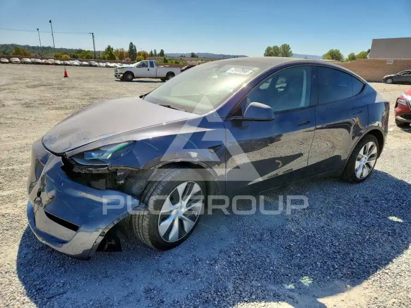 2023 Tesla Model Y фото