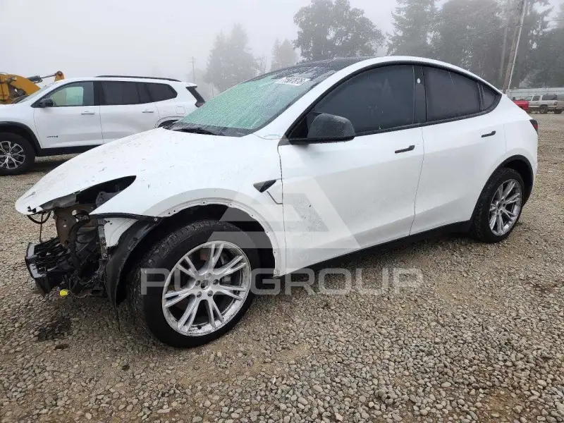 2023 Tesla Model Y photo