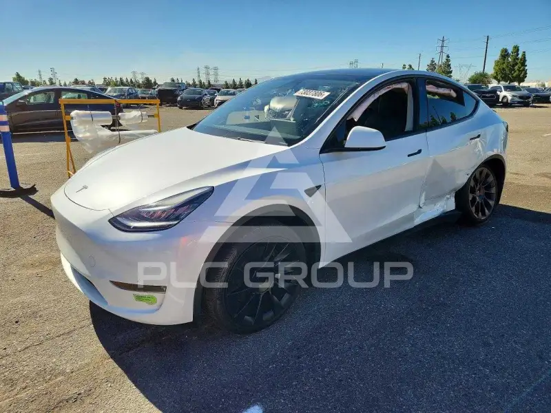 2023 Tesla Model Y photo