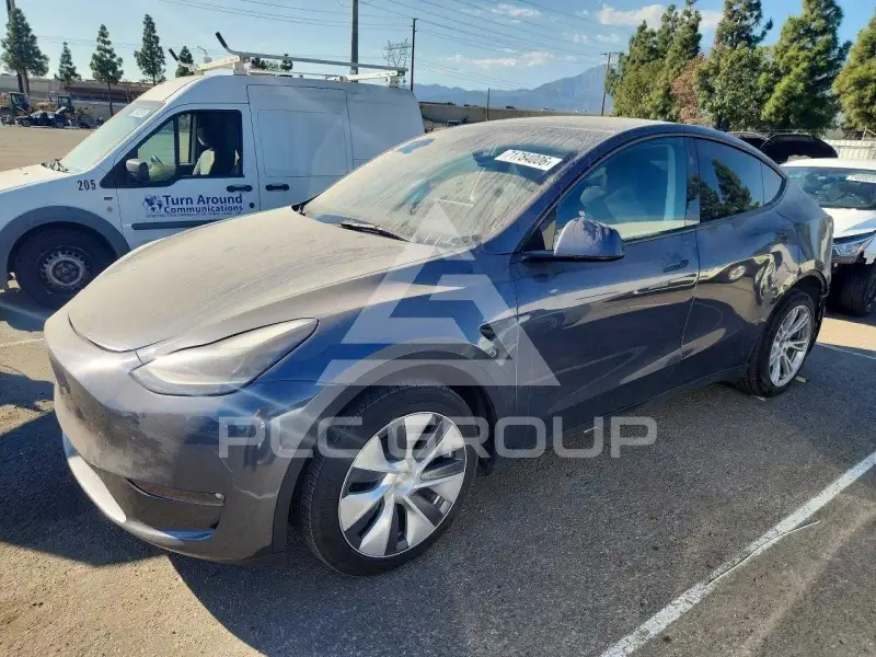 2023 Tesla Model Y фото