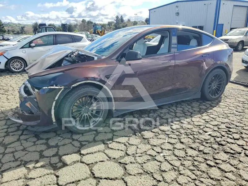 2023 Tesla Model Y фото