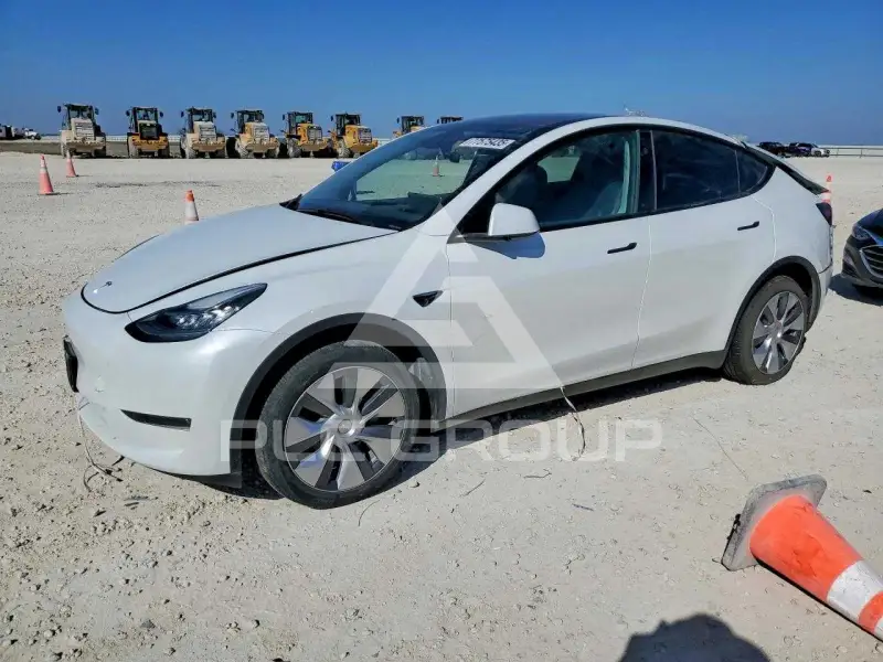 2023 Tesla Model Y photo