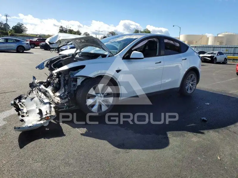 2023 Tesla Model Y фото