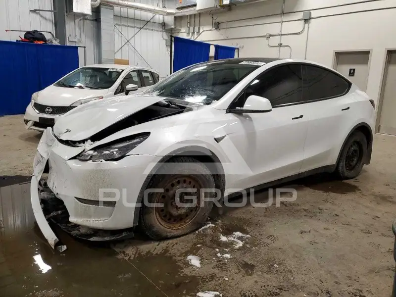 2023 Tesla Model Y фото
