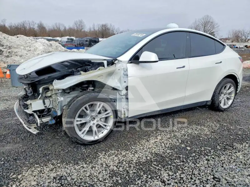 2023 Tesla Model Y фото