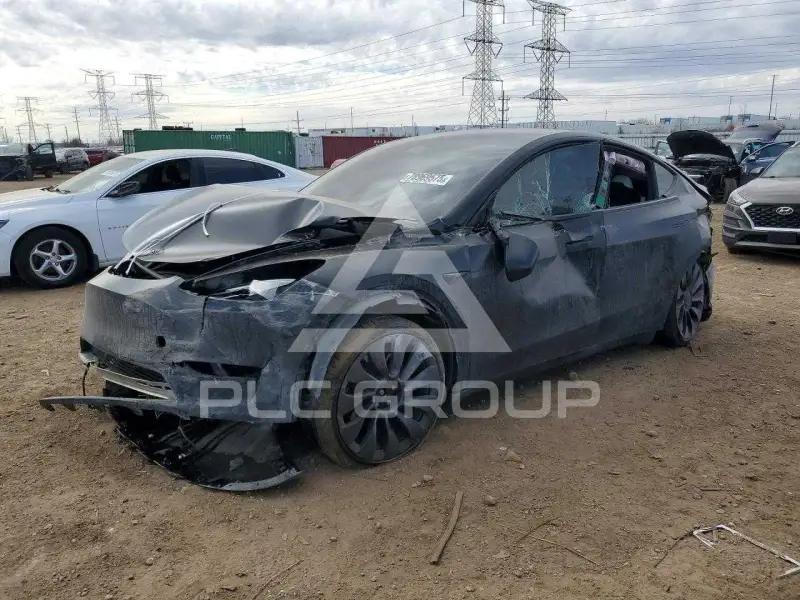 2023 Tesla Model Y photo