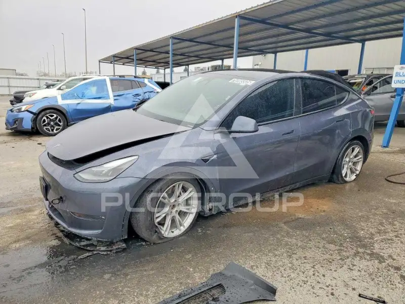 2023 Tesla Model Y фото